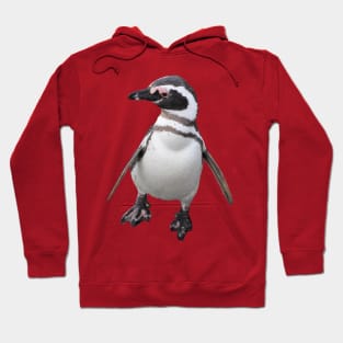 Quirky Penguin Hoodie